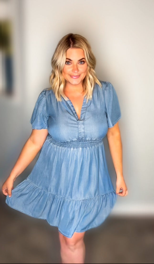 Blaise Denim Dress